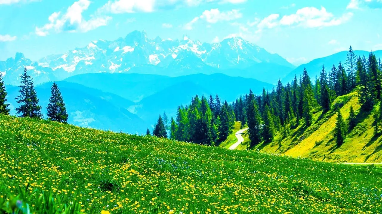 Relaxing Morning Music - Piano Music Background For Study, Yoga, Meditation (Honley) Relaxing Morning Music - Piano Music Background For Study, Yoga, Meditation (Honley)