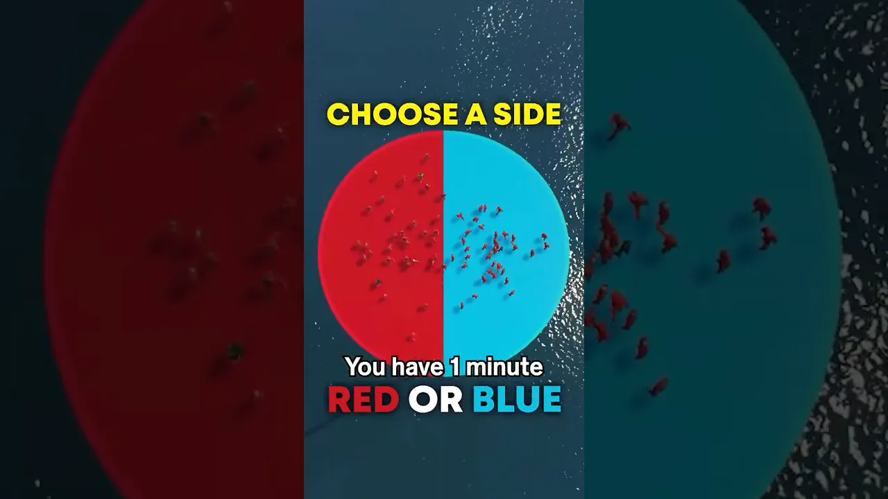 Choose a side… 🔴🔵💥