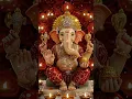 Lagu ganesha song om gam ganapatey namo namaha #song #music #ganapatibapa