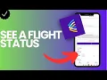 How to check a flight status in the Avelo app