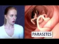 Download Lagu The PARASITE Panic