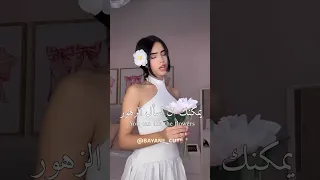 أغنية You Can Ask The Flowers مترجمة بالعربية مني  أغنية You Can Ask The Flowers مترجمة بالعربية مني