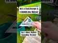 Download Lagu Top 5 Tool Avenger Throws that SOUND like Mjölnir! #shorts #thor #satisfying #marvel #tricks #tools