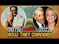 JAWS Cast THEN AND NOW 1975 vs 2022 INCREDIBLE How They Changed