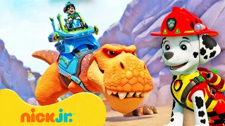 Rubble y Equipo | 90 minutos de *NUEVAS* aventuras de dinosaurios de PAW Patrol 🦖🐾 | Nick Jr.