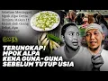 Download Lagu MERINDING! Sebelum Tutup Usia, Mpok Alpa Nyaris Kena Sihir Setelah Makan Bunga Kantil, Ternyata…