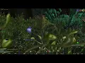 16 Rot Hide Clues Silverpine Forest ID 439 - Turtle Wow Quest Database