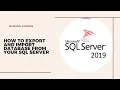 How To Export and Import database Sql Server