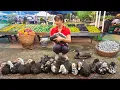 Download Lagu Harvesting Geese for Market | Selling and Buying Baby Geese to Raise | Phương New Bushcraft