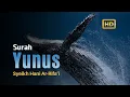 Download Lagu Murottal Surah Yunus [ Full translate ] Reciter Syeikh Hani Ar-Rifa'i