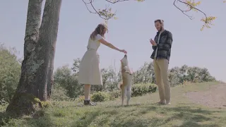                                      محمود العسيلى   جنة تكفينا                 دندنها