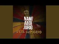 Lagu Nami Abdi Jurig