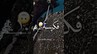 مهرجان ماشي بأزازا في كيسه سمرا 