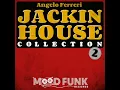 Them Good Old Days (Angelo Ferreri Remix)
