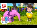 Download Lagu Happy Birthday Song and more Kids Songs! | Birthday Song | HeyKids Nursery Rhymes