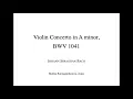 Bach - Violin Concerto in A minor, 1st Mov. (piano accompaniment)