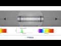 FBG Sensor Principle