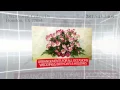 Flower Delivery Houston TX Florist It s Just For You