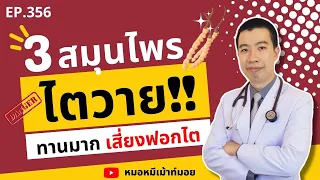 หญ้าหนวดแมวมีผลต่อไตอย่างไร และใครควรระวังเป็นพิเศษ?