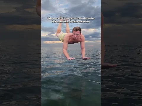 I've never popped the Zara Larsson faster 🦈🦑 #zaralarsson #lakemichigan #swimming #ocean