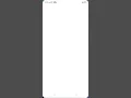 flutter application with python flet