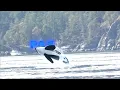 PACIFIC OCEAN EDIT! (I'm back) #fypツ #edit #gameshorts #basketball #davinciresolve #subscribe #like