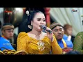 Download Lagu Ijo ijo katampen ngudang anak kalajeng lelolelo ledung//karawitan mudho laras gong pijilan