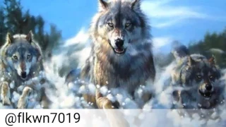 الى جفت عينك عن النوم ياذيب 