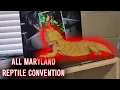 Visit the All-Maryland Reptile Convention with Me MD Vlog