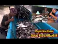 Rejeki Ikan Besar Dan Mahal!! Pasang Perangkap Siang Hari Dapat Banyak Ikan Mahal Langsung Jual