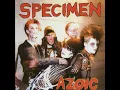 Kiss Kiss Bang Bang (12" Version)