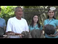 Download Lagu มะพร้าวทะเล Double Coconut or Coco de Mer