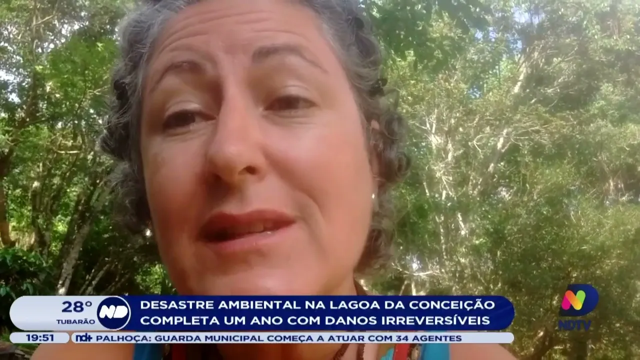 Desastre ambiental na Lagoa da Conceição completa um ano com danos irreversíveis