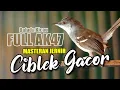 Download Lagu MASTERAN CIBLEK GACOR FULL AK47