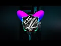 Download Lagu BUYUNG PUYUH - I LIKE YOU SO MUCH Remix