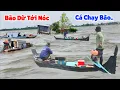 Download Lagu Bão lũ chạm Nóc\