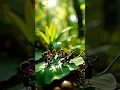Download Lagu 👉 “Mini Orchestra Plays Music on Leaves \u0026 Acorns | AI Short Film”