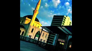 الرجال اهل العزوم دندنها