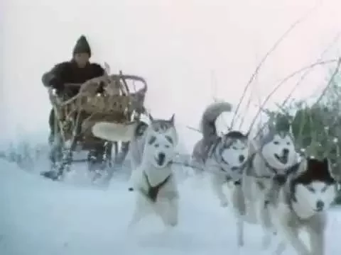 Iron Will Movie Trailer (better quality)