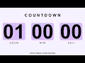 1 Hour Countdown Timer 60 Minute Countdown Simple Timer for Study Work Focus