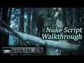 Nuke Demo Script Walkthrough
