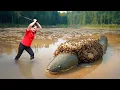 Download Lagu Harvesting 100kg Honeycomb Banana Fish \u0026 Go to Market Sell | Fish attacked by beehive | Lý Thị Hằng