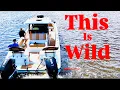 The FUTURE is HERE HYDROFOIL Catamaran INSETTA 35IFC