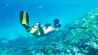 Second week in a DESERT ISLAND | 22 South | Ep.82