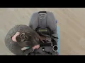 How to install the Graco 4Ever DLX Car Seat in rear-facing mode using the vehicle seat belt