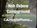 Hoh-Oxbow Campground Olympic National Forest Washington Campsite Photos