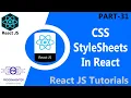 31 CSS Stylesheets In React External CSS CSS React Styling Component In React