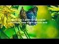 HODARI part. Luedji Luna - ORISHAS (Letra/Lyrics) | Official Music Video
