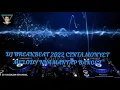 Download Lagu DJ BREAKBEAT TERBARU 2022 CINTA MONYET MELODY NYA MANTAP BANGET