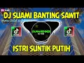 Download Lagu DJ SUAMI BANTING SAWIT ISTRI SUNTIK PUTIH REMIX VIRAL TIKTOK